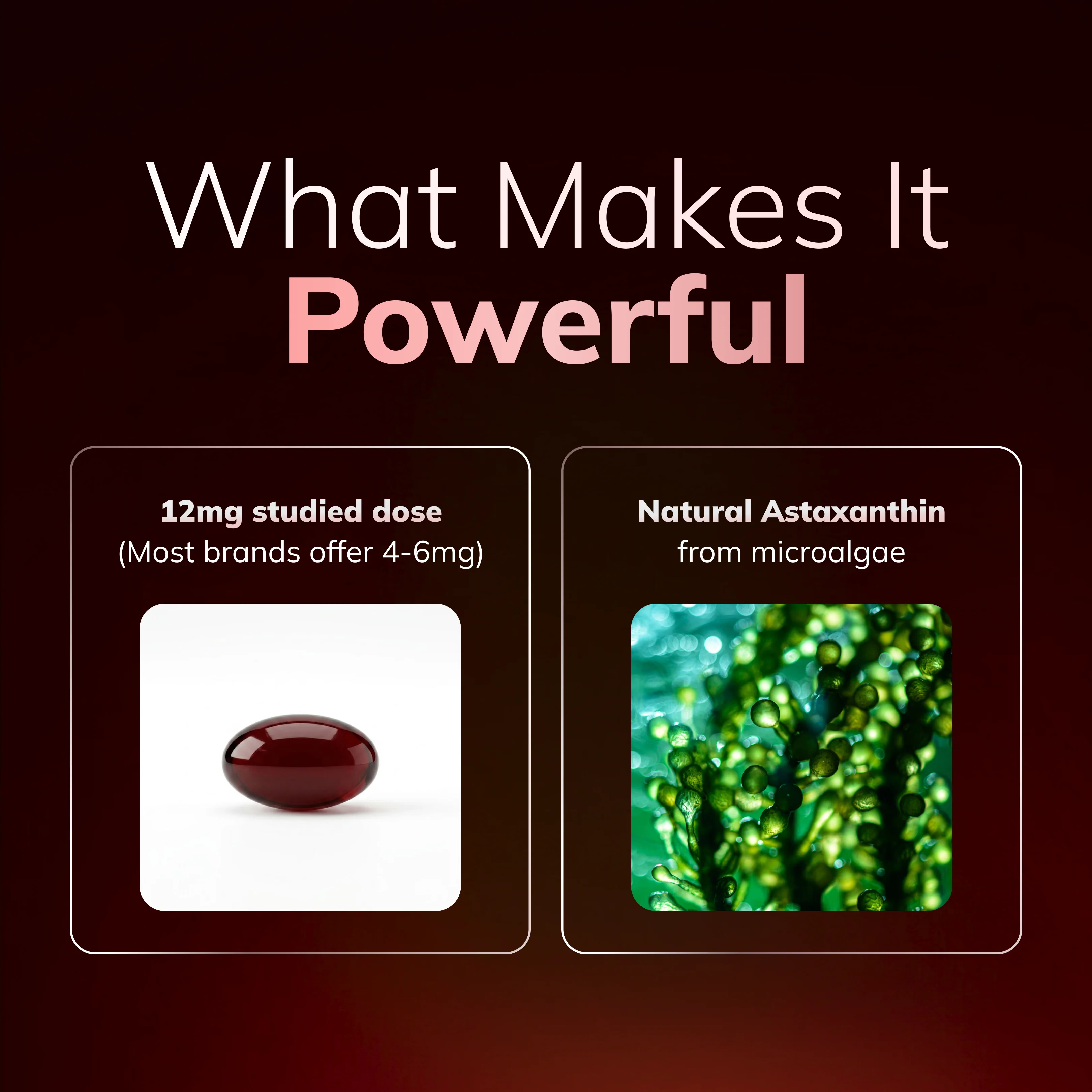Rovina Astaxanthin - 12mg Softgels - Image 7