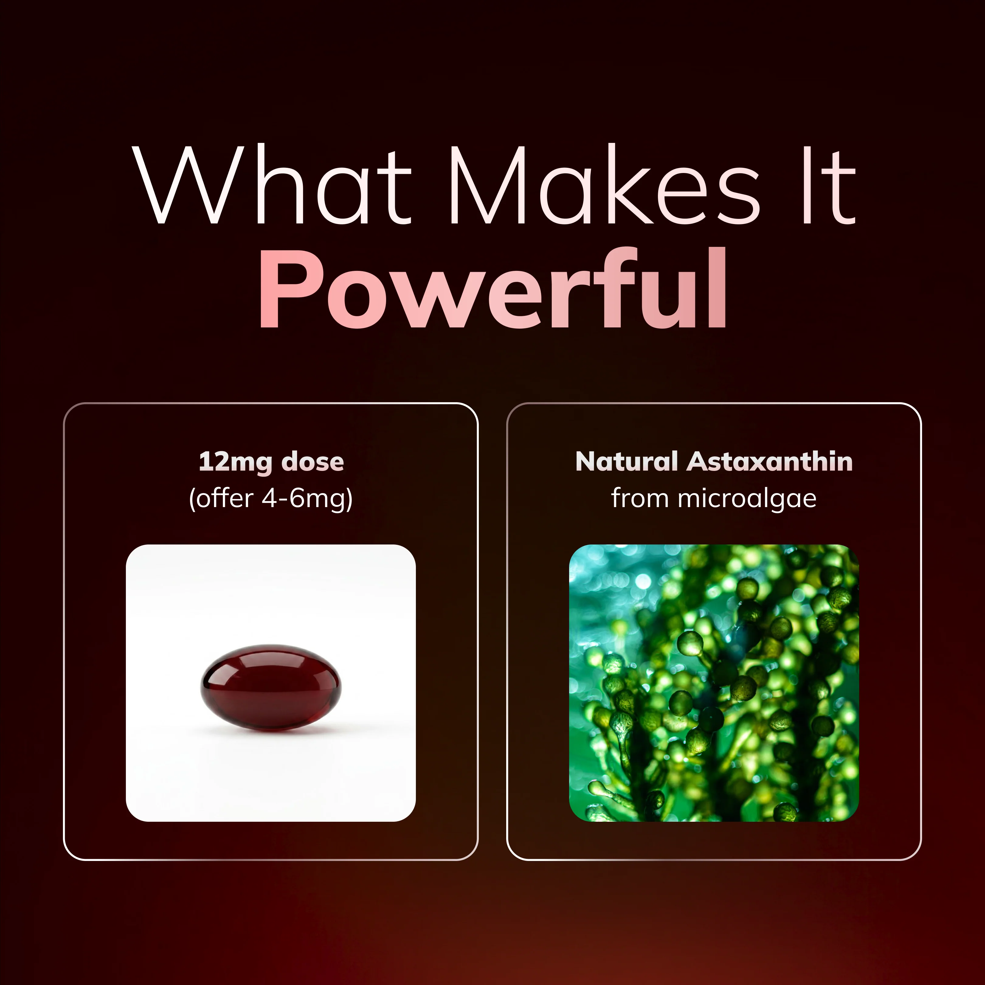 Rovina Astaxanthin | 12MG softgels - Image 8